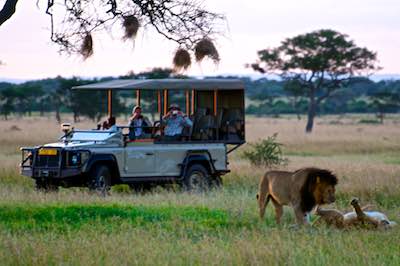 Special Occasions with Conservation Safaris - Singita safari